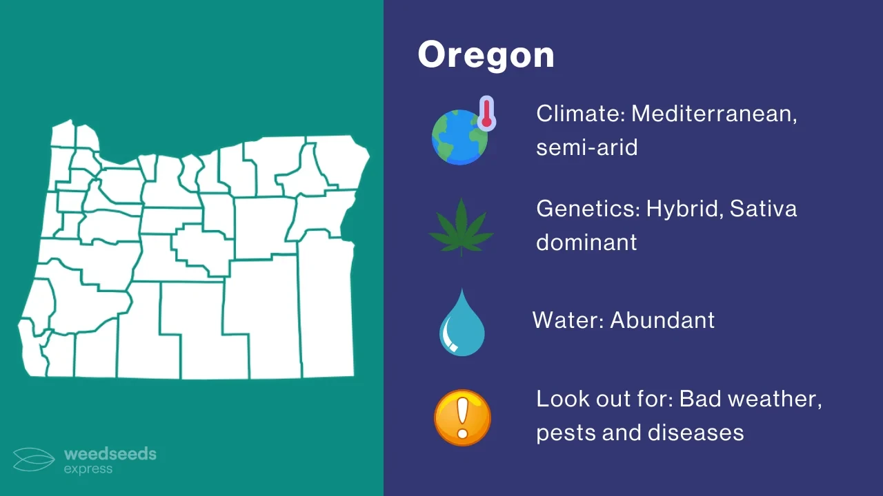 Cannabis Growing Climate in Oregon